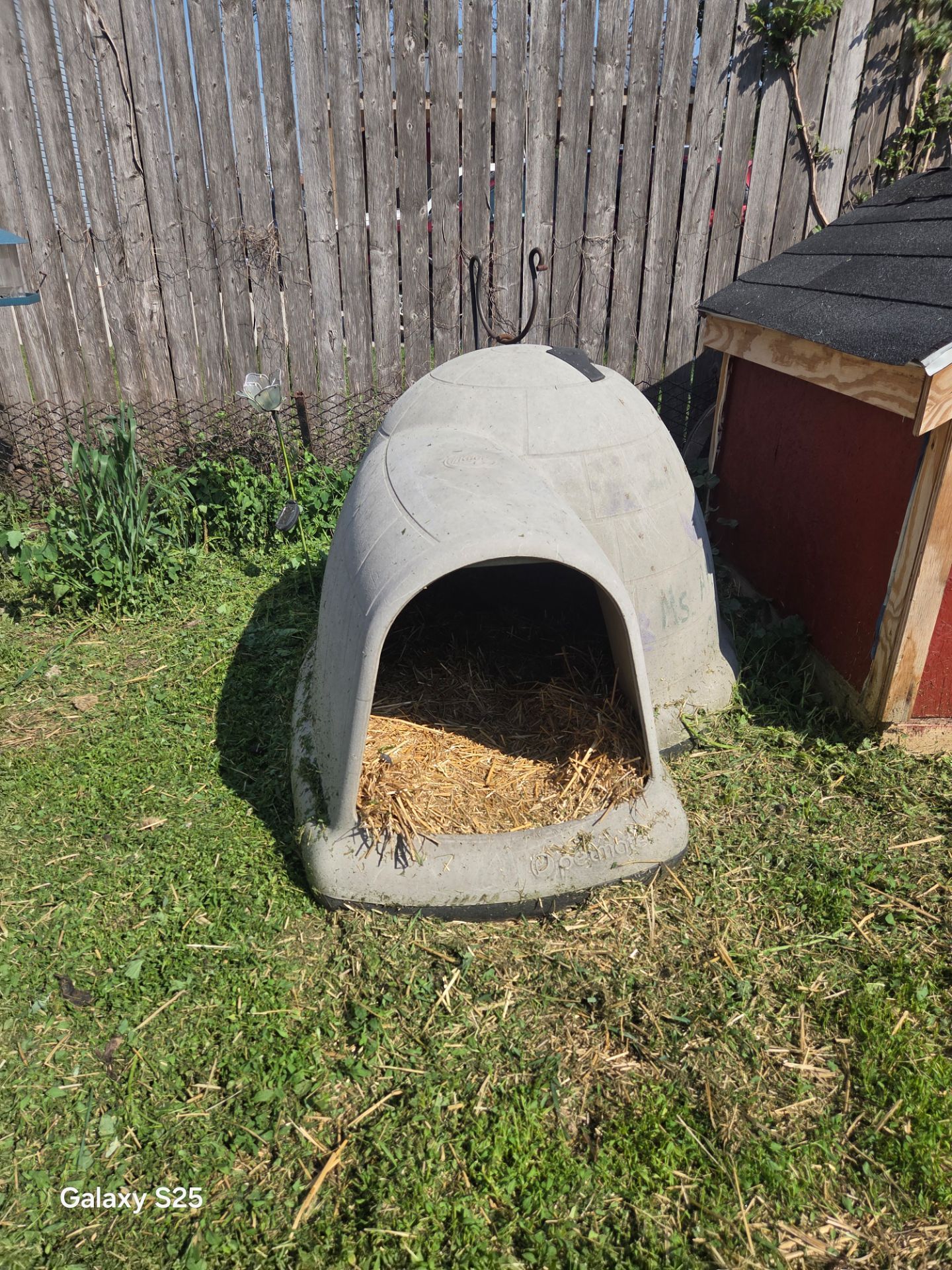 Dog house igloo