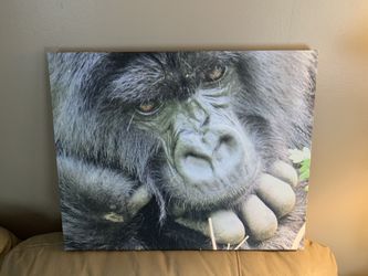 Gorilla Print