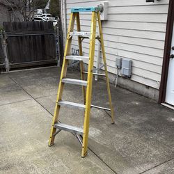 6 foot fiberglass step ladder