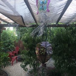Succulent Arrangement With Butterfly Hanger