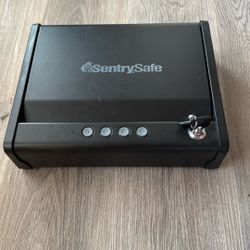 SentrySafe 
