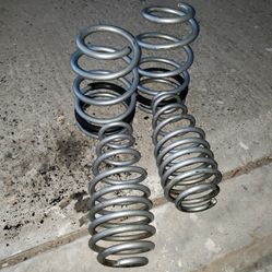 Mustang Lowering Springs