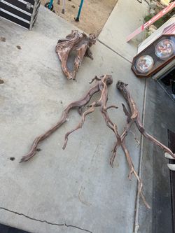 Drift wood for aquarium