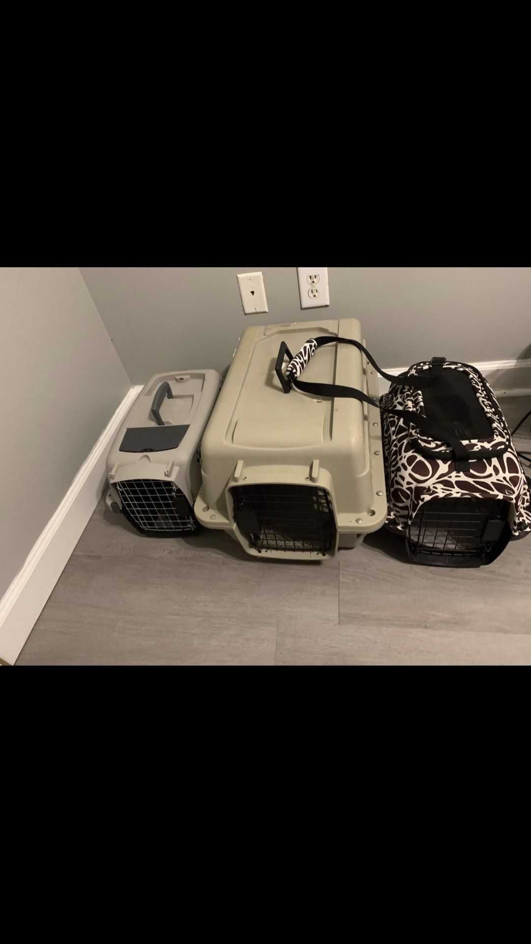 Pet Carrier $20 each