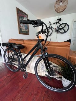 Pedego bike