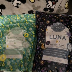 Scentsy Soak 