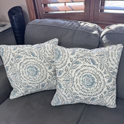 ** Big Beautiful Throw Pillows!