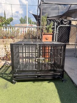 Dog cage