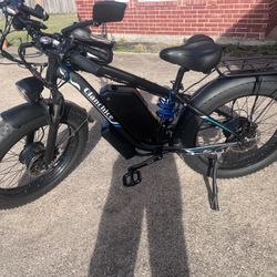 Electric Bicycle - Dual Motor