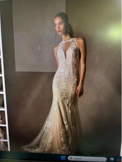 New never worn size 20w white and champagne wedding dress