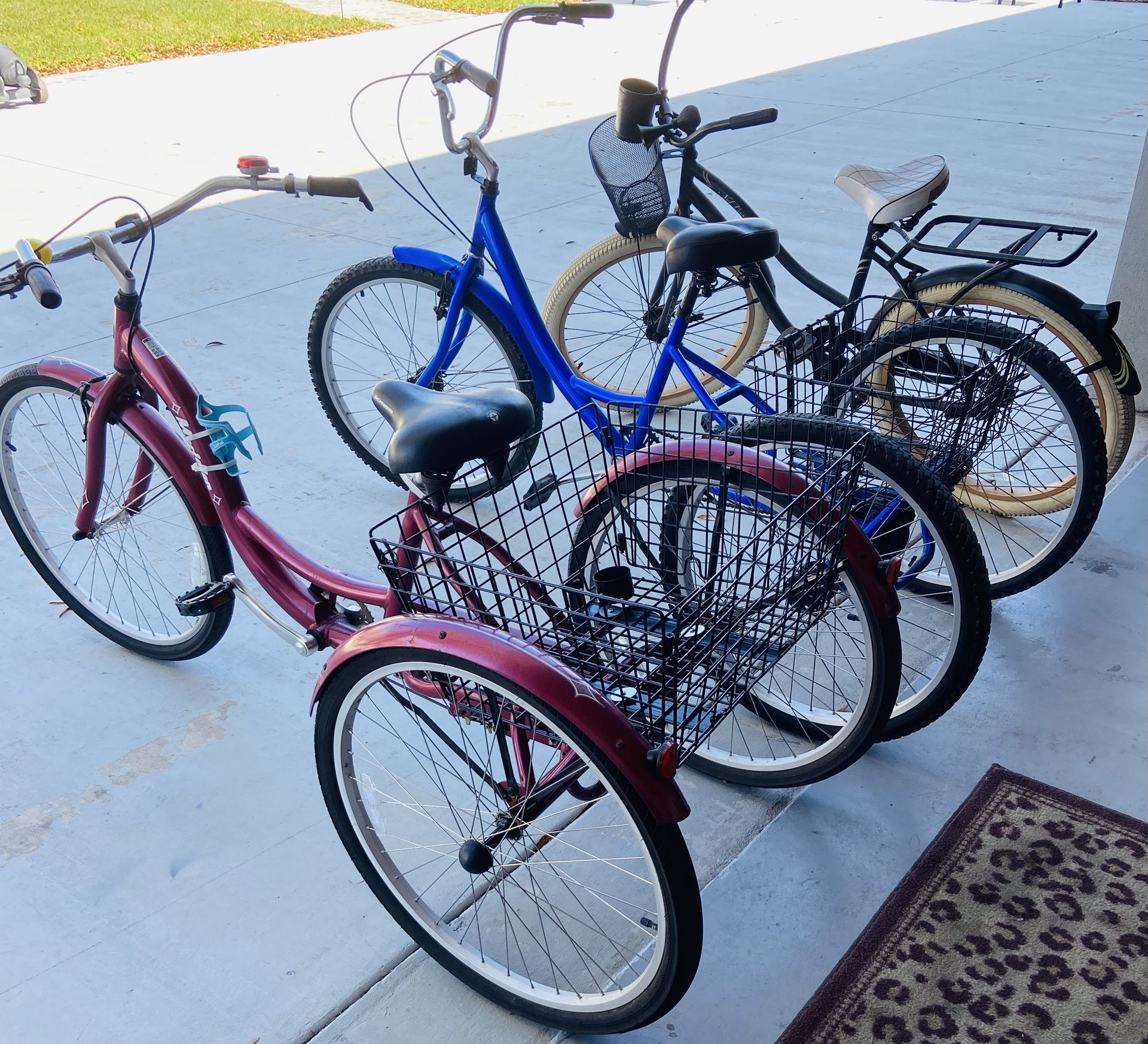 24” Trike And 26” Cruiser