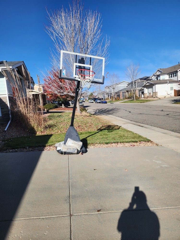 NBA Adjustable Basketball Hoop