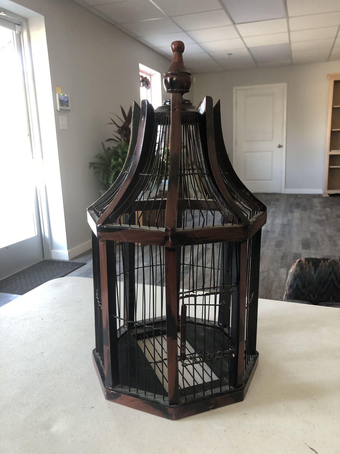 Bird Cage