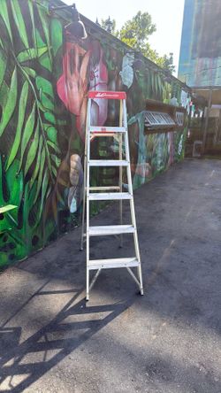Louiseville ladder: 6 ft aluminum