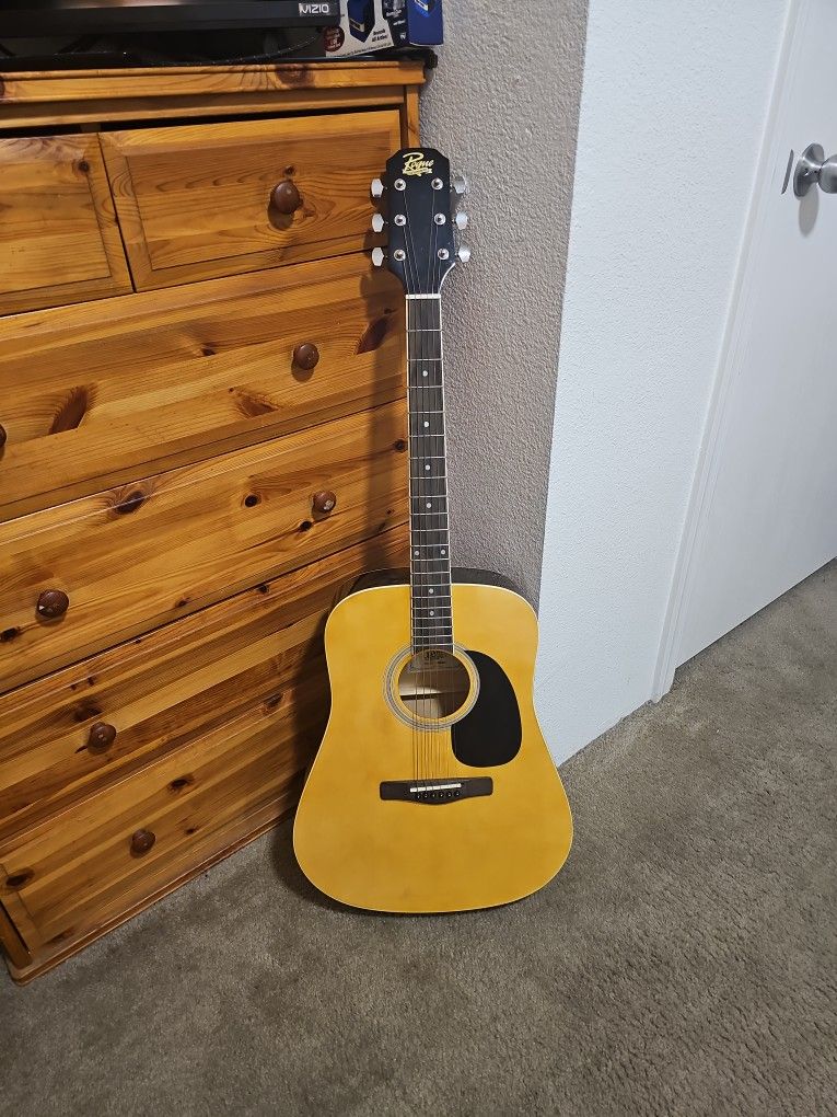 Rogue Fin Instruments Beginner Acoustic Guitar