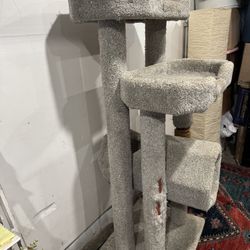 Cat Tower 60 In