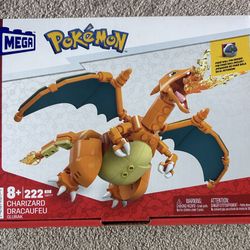 Pokémon Charizard 222 Pieces $10