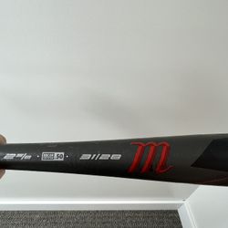Baseball Bat