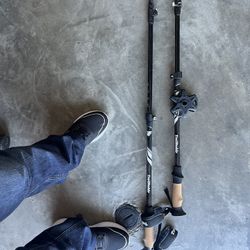 Trail Sticks 
