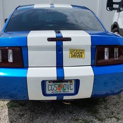 Ford Mustang 2009, 45th  Anniversary Model