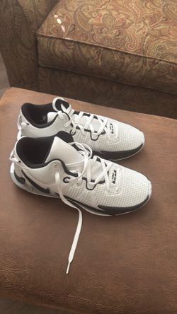 LJ size 13