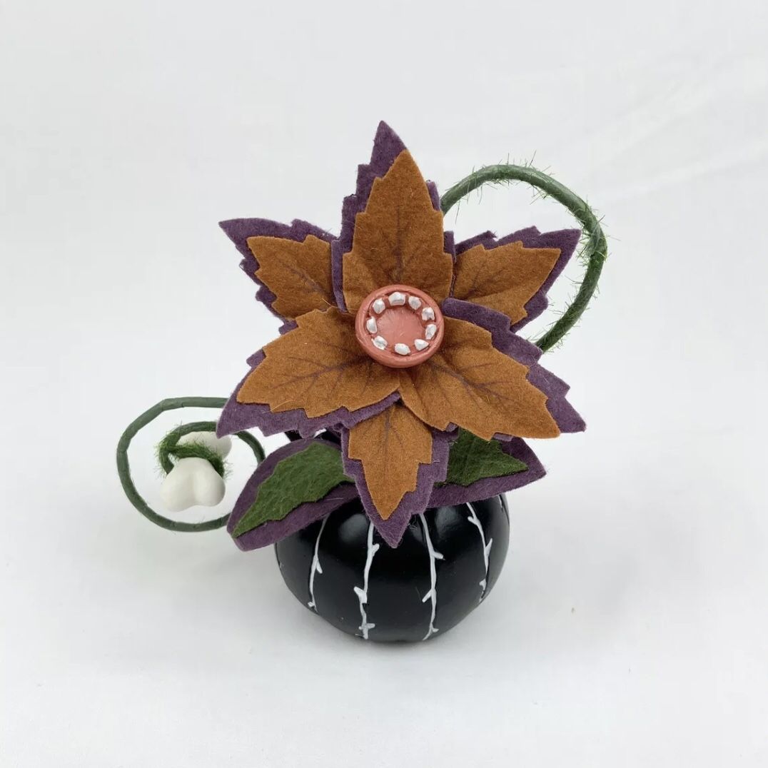 CREEPY SUCCULENT in Black PUMPKIN~Hyde and Eek!