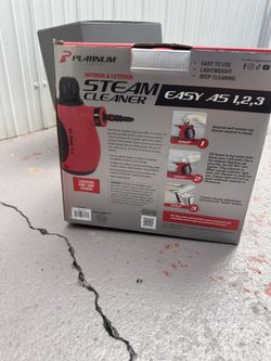 Platinum interior and exterior steam cleaner