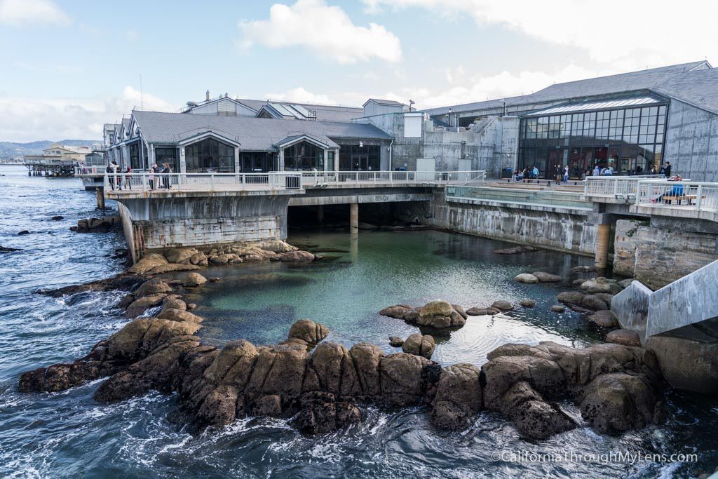 Monterey Bay Aquarium Tickets