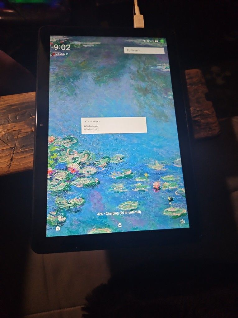 Amazon Fire