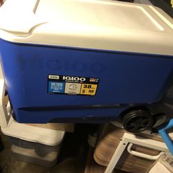 Cooler
