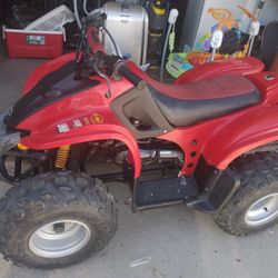 06 Bombardier 50cc 2 Stroke