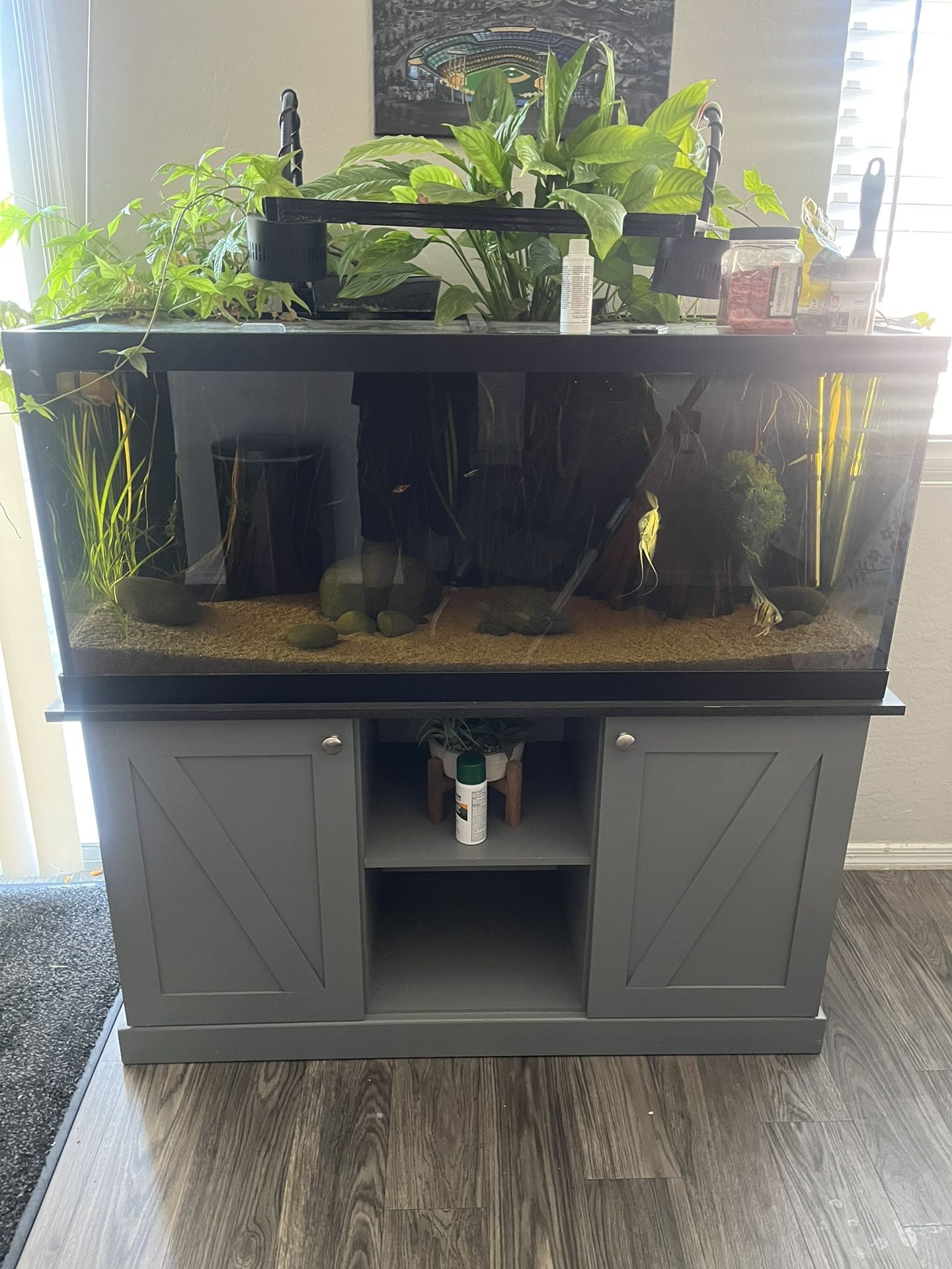 75 Gallon Fish Tank Aquarium 