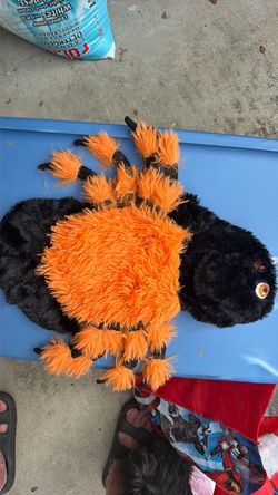 Spider dog costume medium