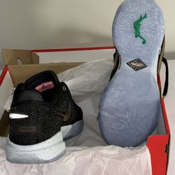 Lebron James FOR MEN