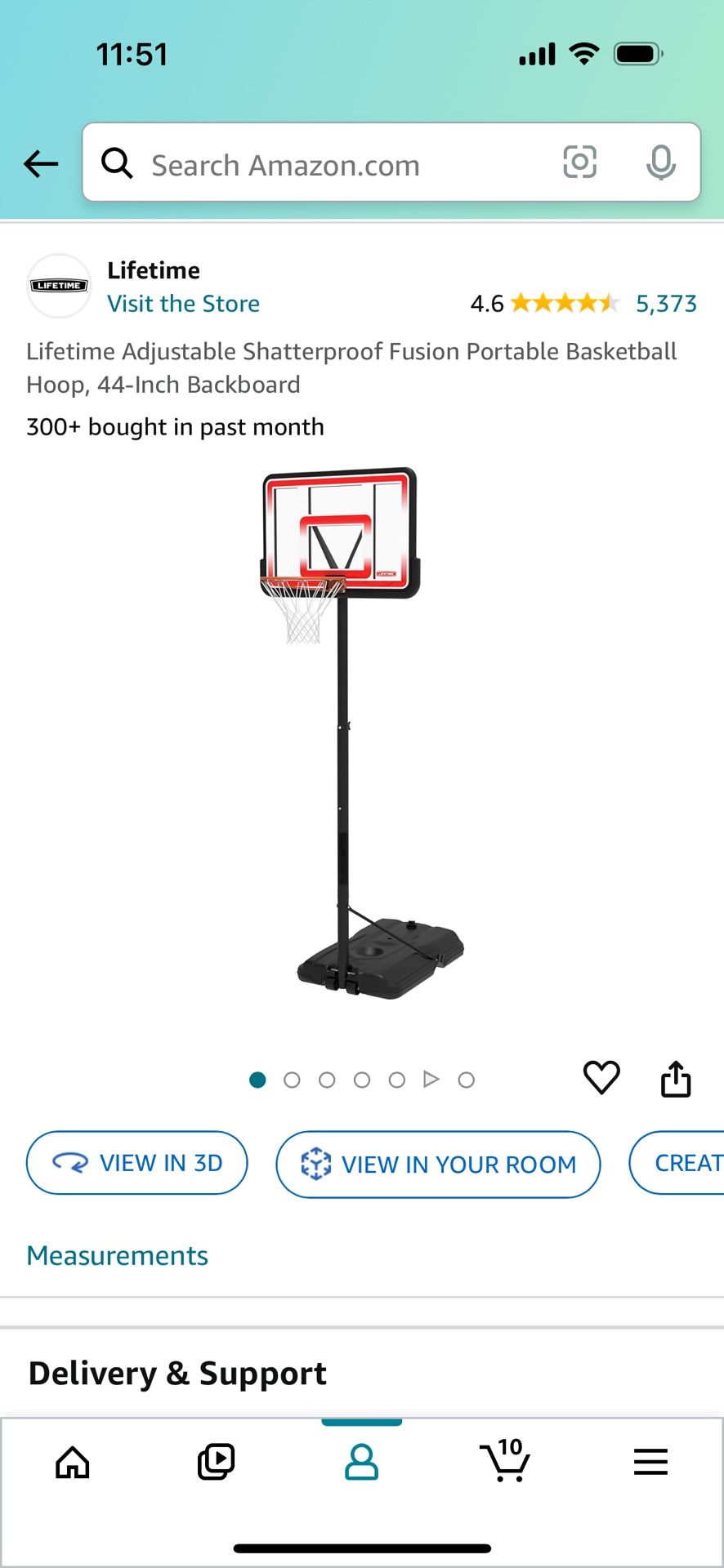 Portable Basketball Hoop 