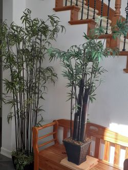 Bamboo Silk Plant set of 2.
