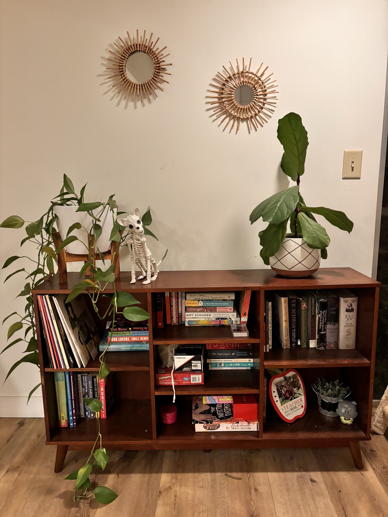 Mid Century Modern Bookshelf