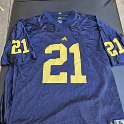 Desmond Howard Michigan Wolverines Adidas Jersey
