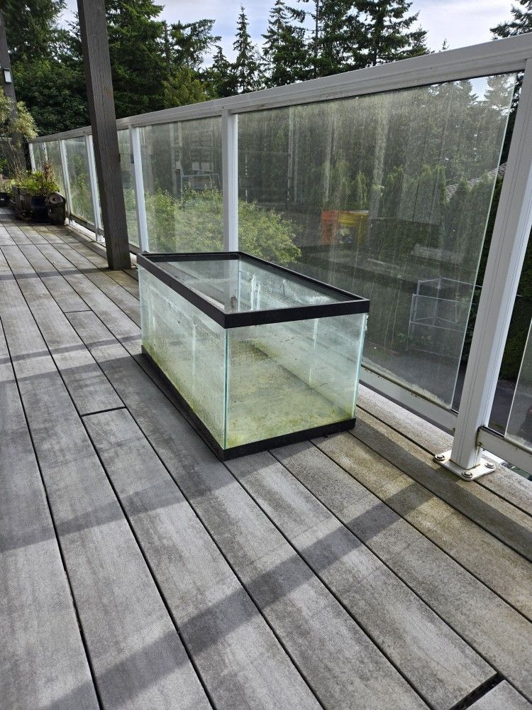40g Aquarium