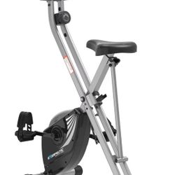 Exerpeutic Workout Bike