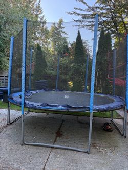 Free large trampoline