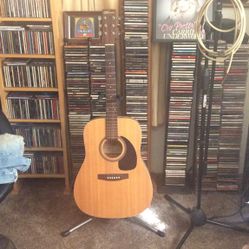 Norman Acu Guitar And Bag
