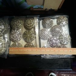 MEDIUM  SIZE SEA URCHIN  SHELL 