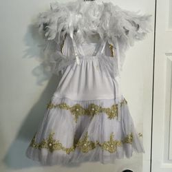 Swan Costume
