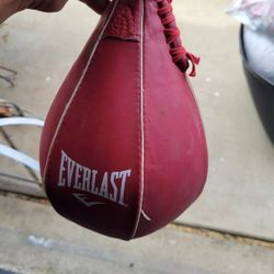 Speed Bag Everlast