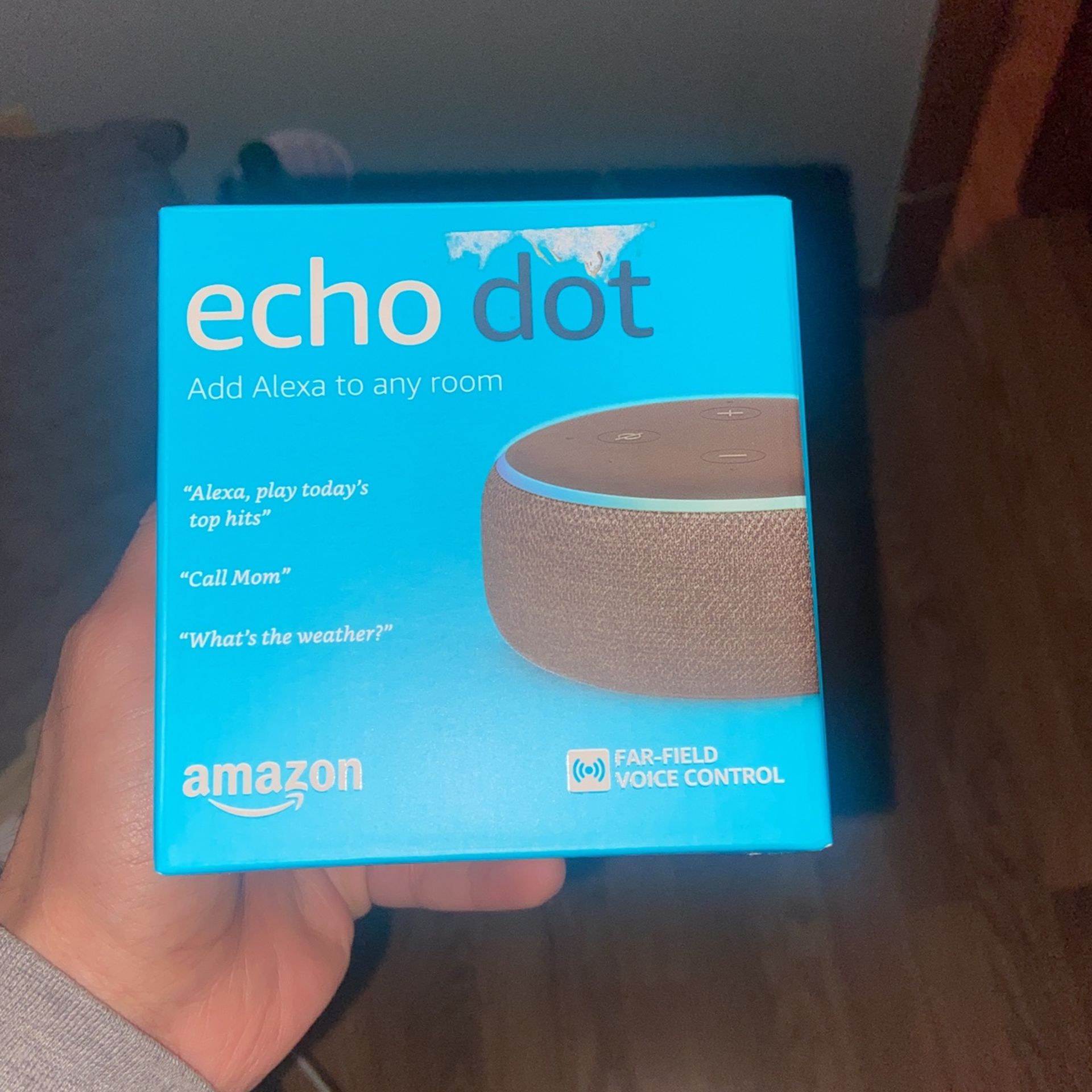 Echo Dot