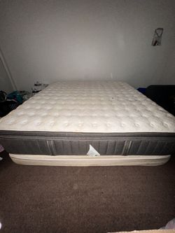 Stearns And Force Cali King Mattress
