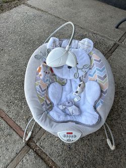 Baby Bouncer 