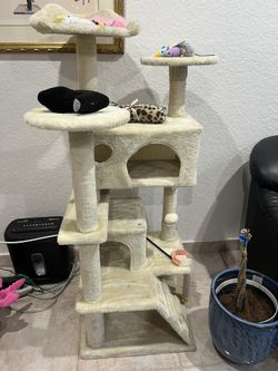 cat condo