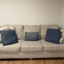 Pet Free Smoke Free Couch 